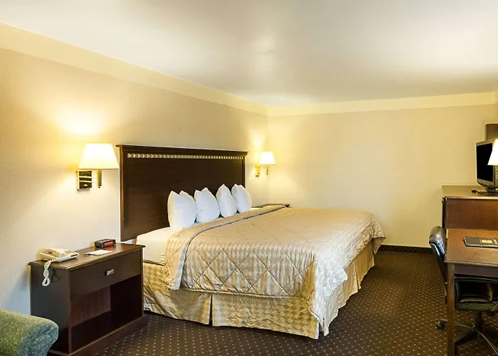 Quality Inn Near Medical Center